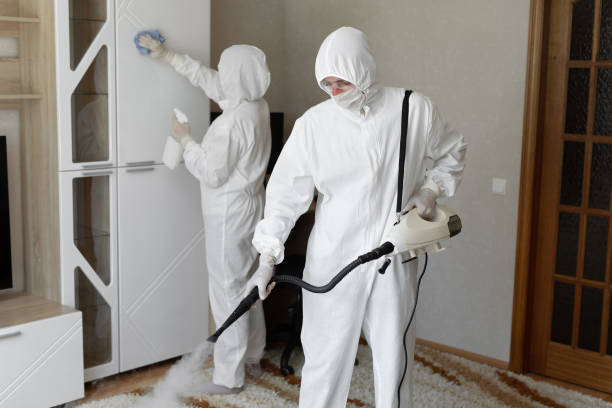 Mold Removal Process in Morton, TX