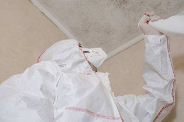 Best Mold Cleaning Services  in Morton, TX